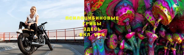 сатива Переславль-Залесский