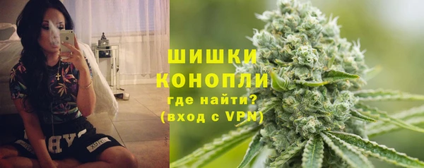 сатива Переславль-Залесский