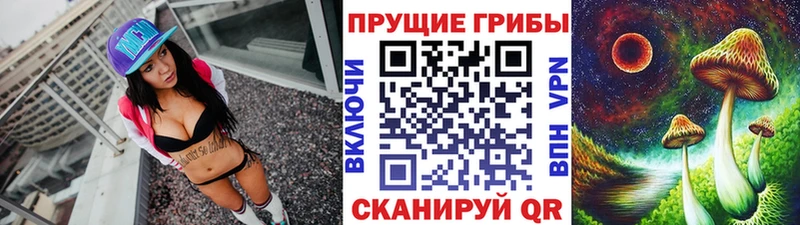 Псилоцибиновые грибы Psilocybe  Мураши 