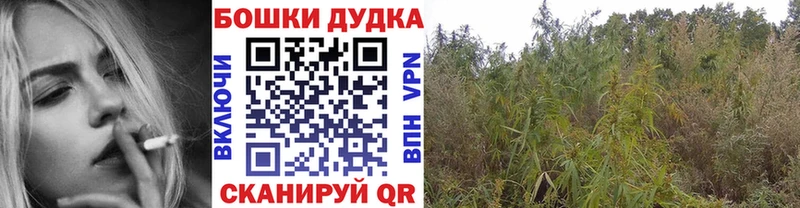 Канабис марихуана  Мураши 